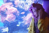 帝王世纪装备总值怎么获得